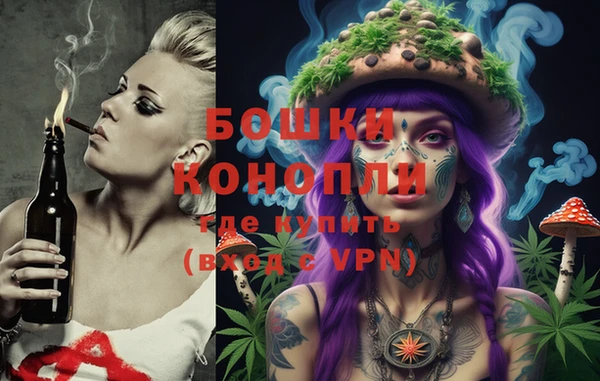 мдпв Магас