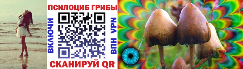 где можно купить   Учалы  Псилоцибиновые грибы ЛСД 
