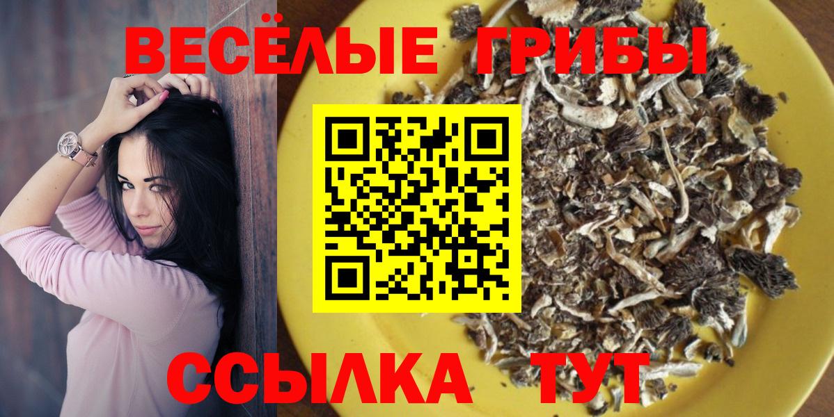 Учалы  где купить   Вход с VPN  Псилоцибиновые грибы Psilocybe 